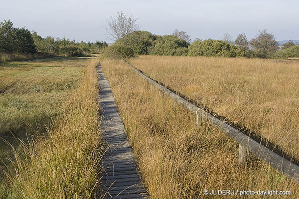 les Hautes Fagnes